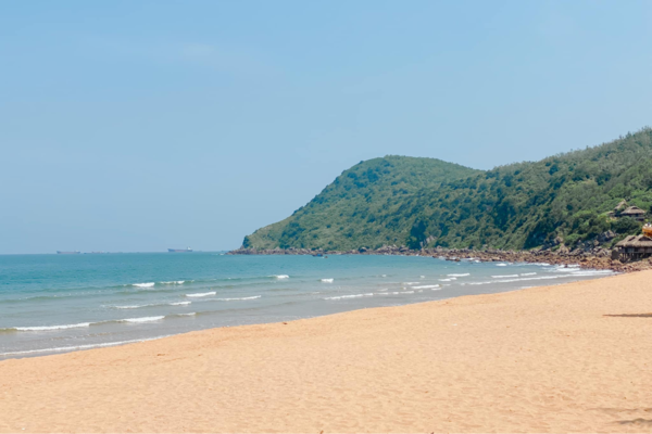 Bờ Biển Xanh Tại Bãi Đông