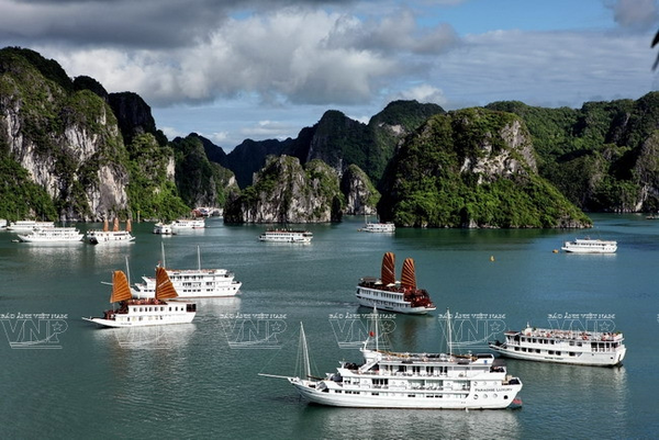 Du Thuyền Sang Trọng Trên Vịnh Hạ Long, Ngắm Cảnh Núi Đá Kỳ Vĩ