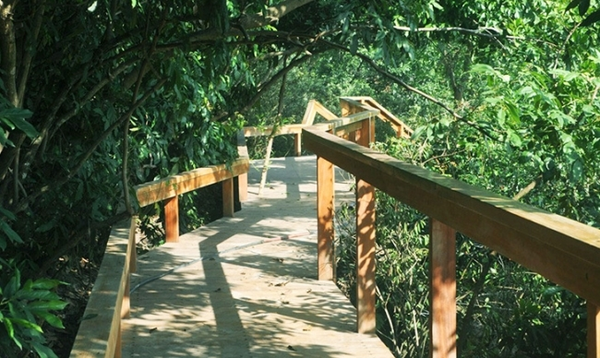 Con Đường Mòn Trekking