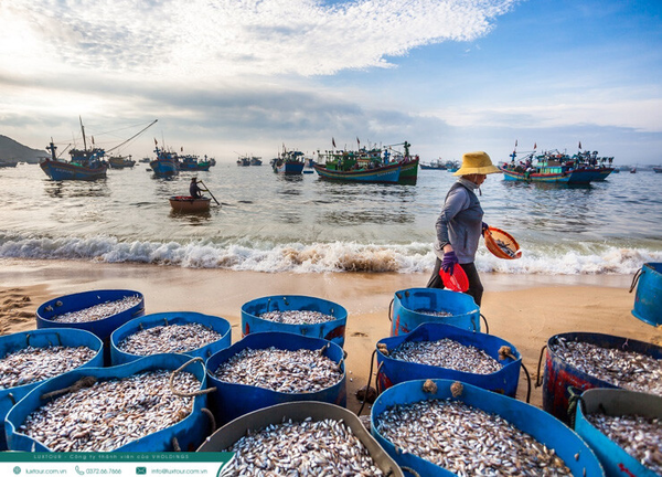 Làng Chài Quan Lạn