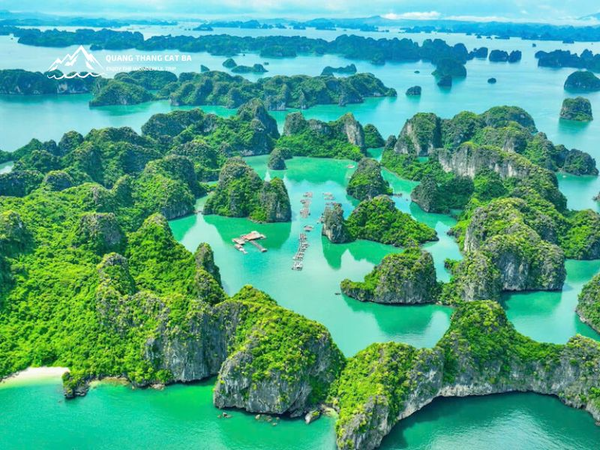 Tổng Số Lượng Hòn Đảo Ở Vịnh Hạ Long