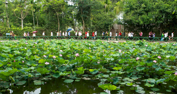 Cac Khu Du Lich Noi Tieng O Viet Nam 12