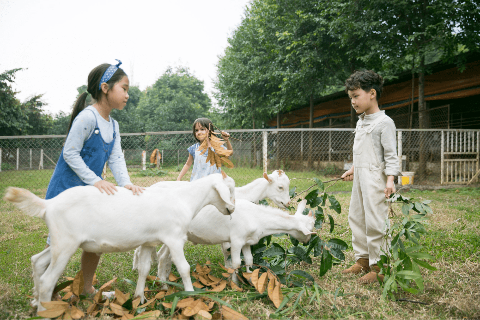 Khoang Xanh – Suối Tiên