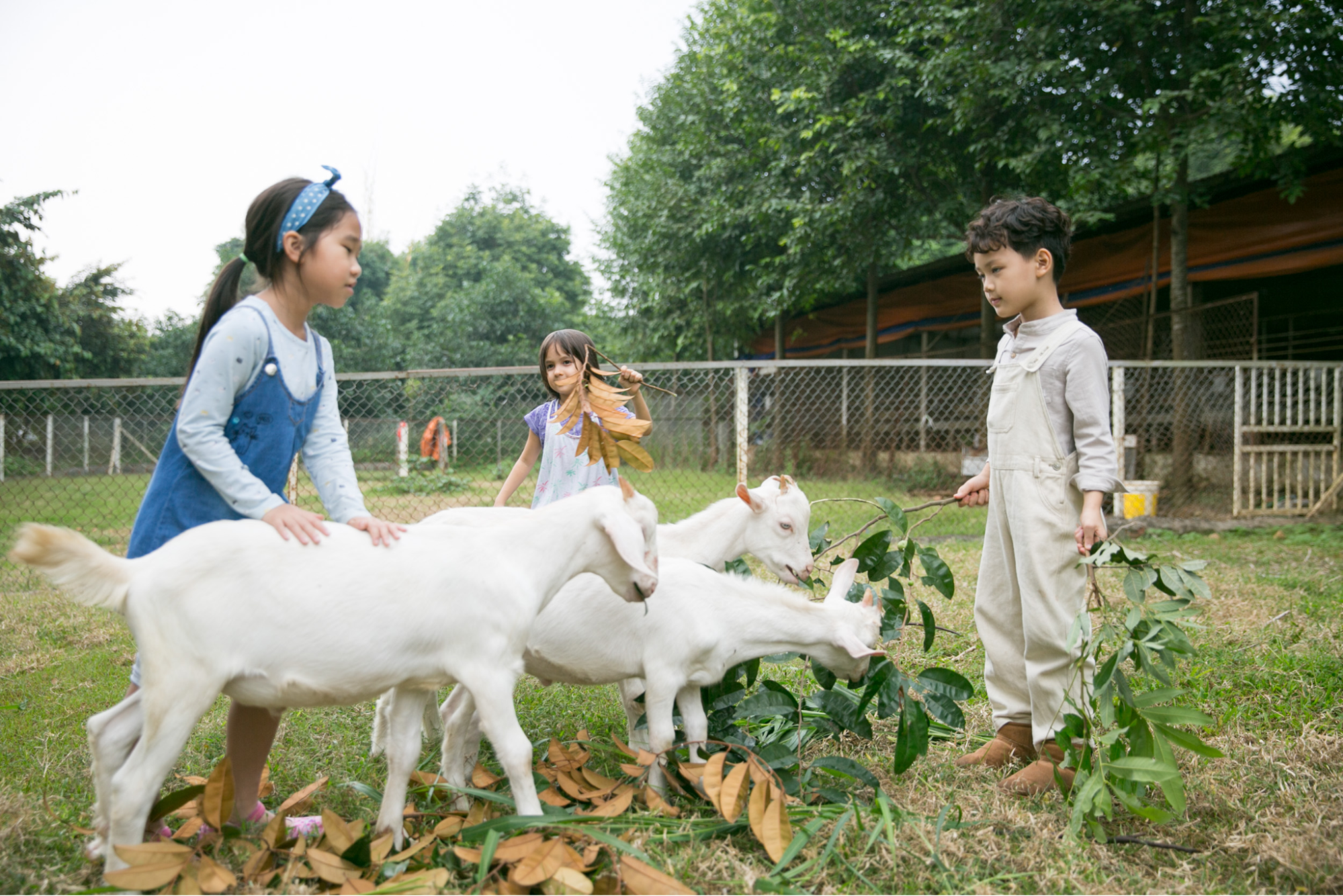 Nông Trại Detrang Farm