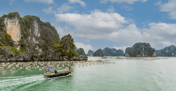 Vịnh Bái Tử Long - Tuyệt Tác Hội Tụ Linh Khí Đất Trời