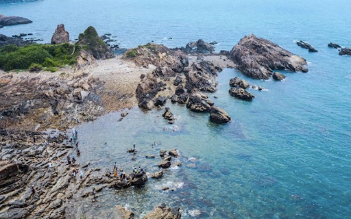 Dao Tien Canhh 2