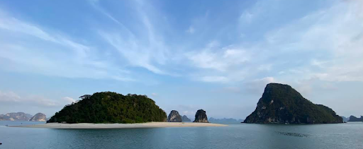 Dao Tien Canhh