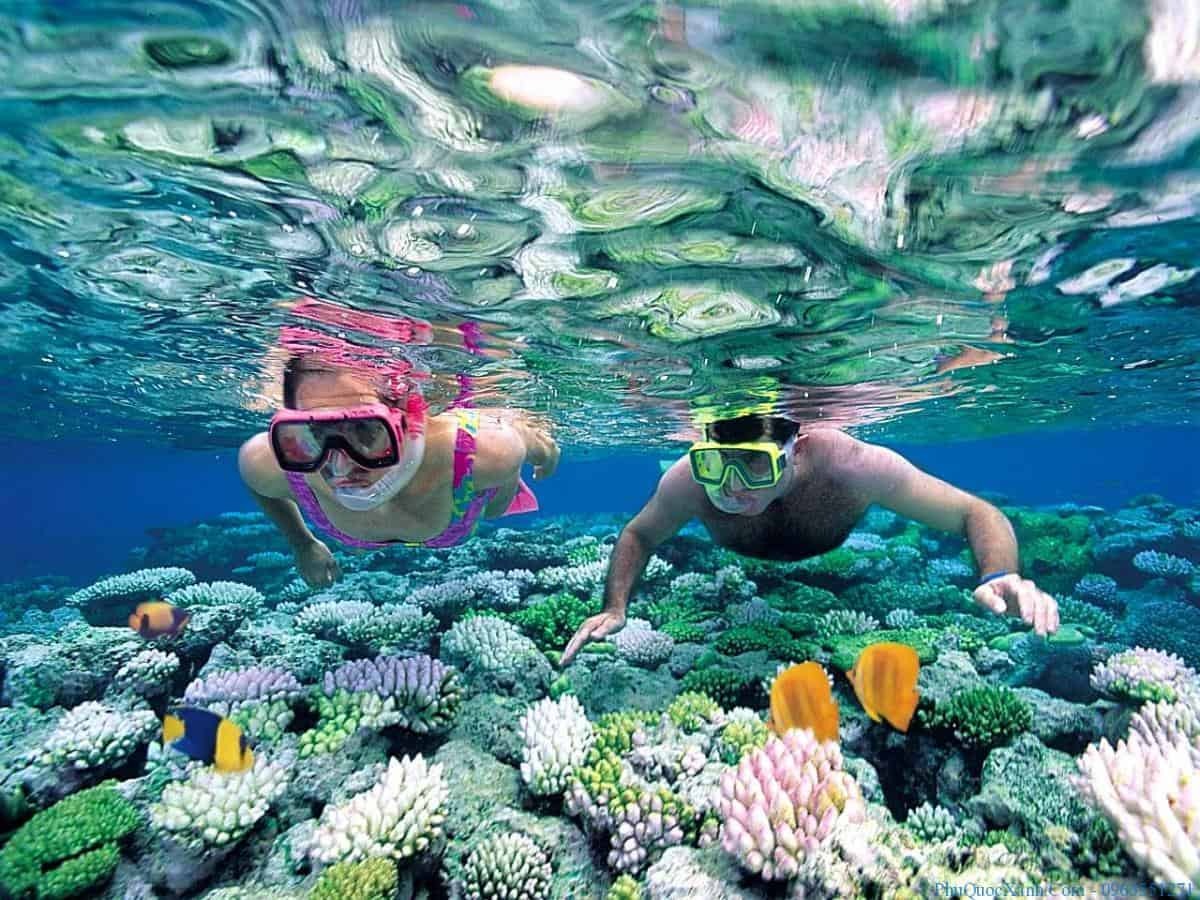 Lặn Snorkel
