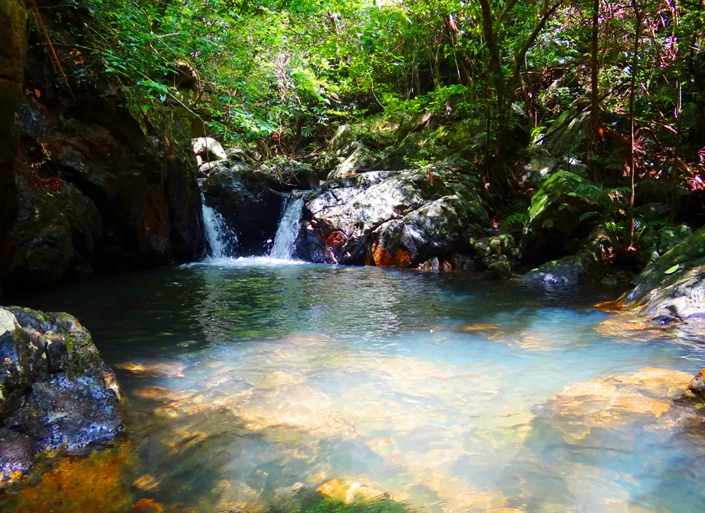 Kham Pha Rung Nguyen Sinh Tren Dao Ba Mun
