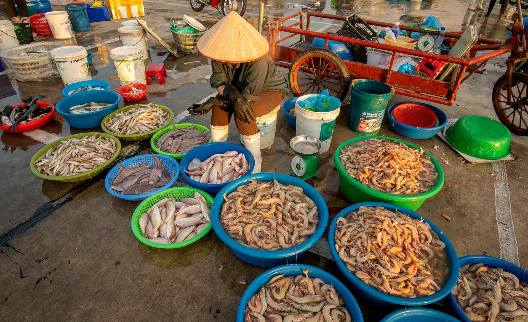 Khám phá chợ hải sản Cái Rồng