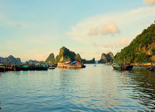 Dao Banh Sua Thuoc Huyen Dao Van Don