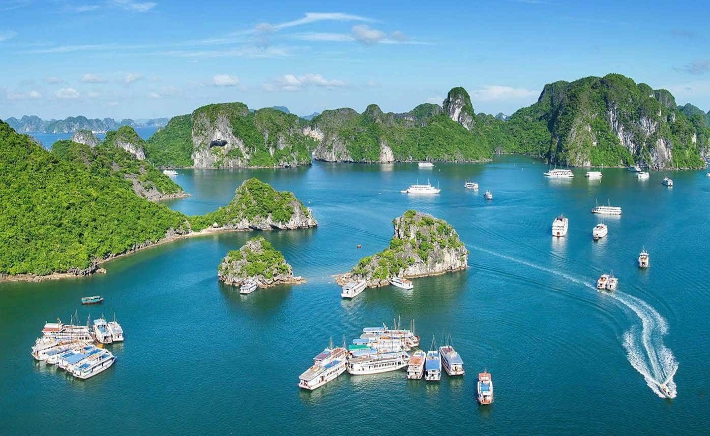 Dao Cat Ba Vien Ngoc Xanh Cua Mien Bac