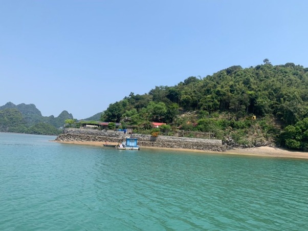 Dao Tra Ngo