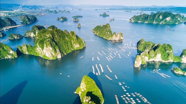 Kinh Nghiem Du Lich Quang Ninh 2 Ngay 1 Dem Mua Thu
