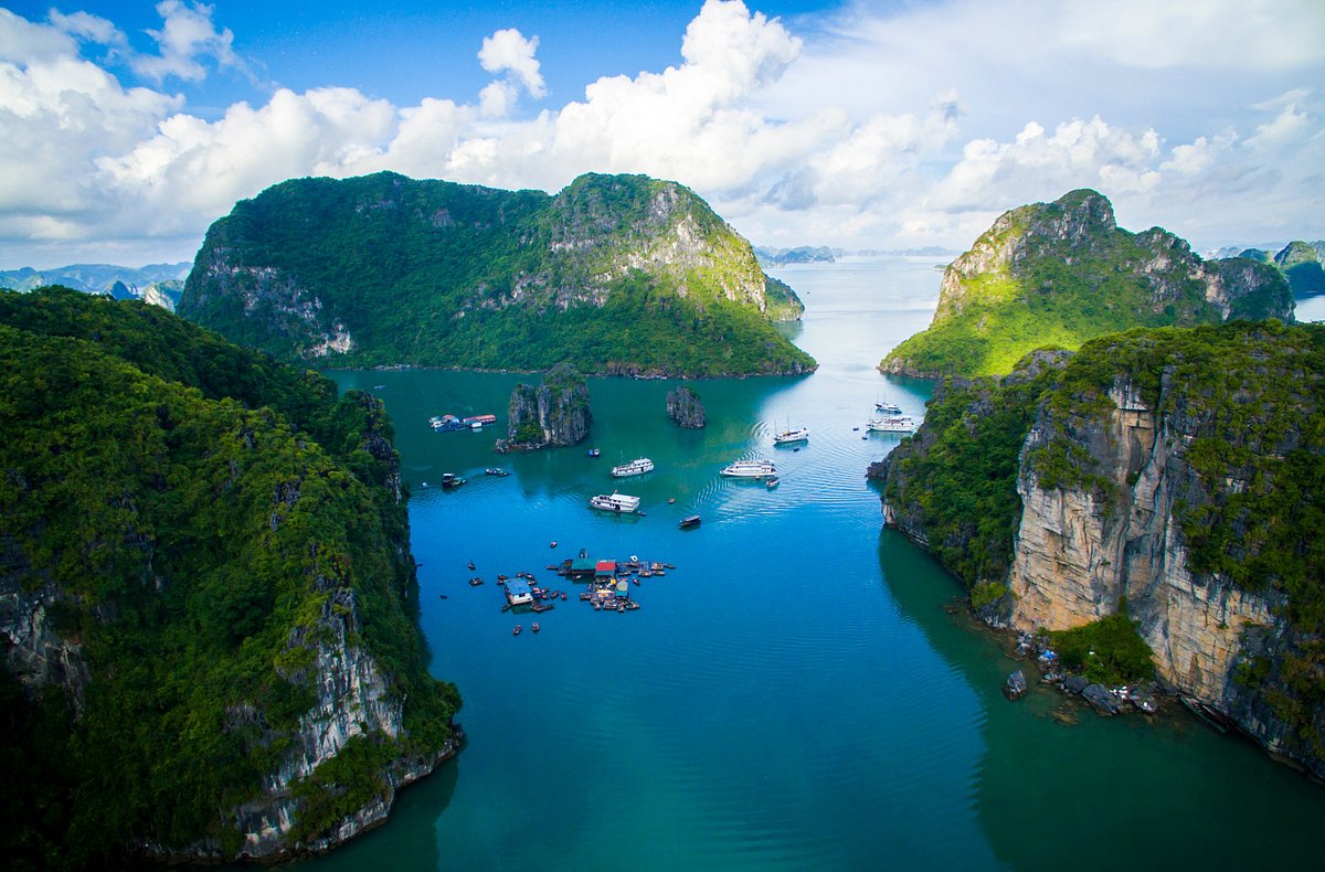 Vinh Bai Tu Long