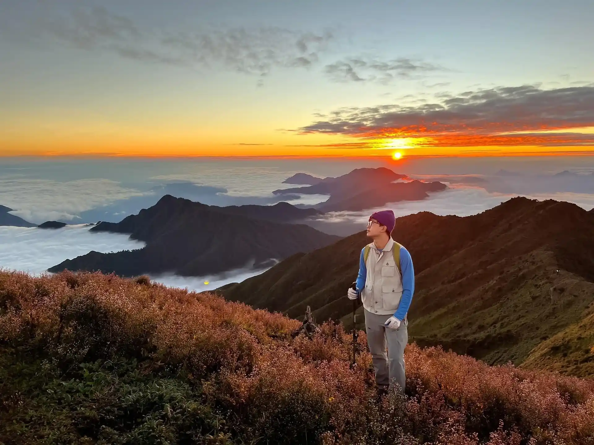 Ngam Hoa Chi Pau Tren Do Cao Gan 2000m