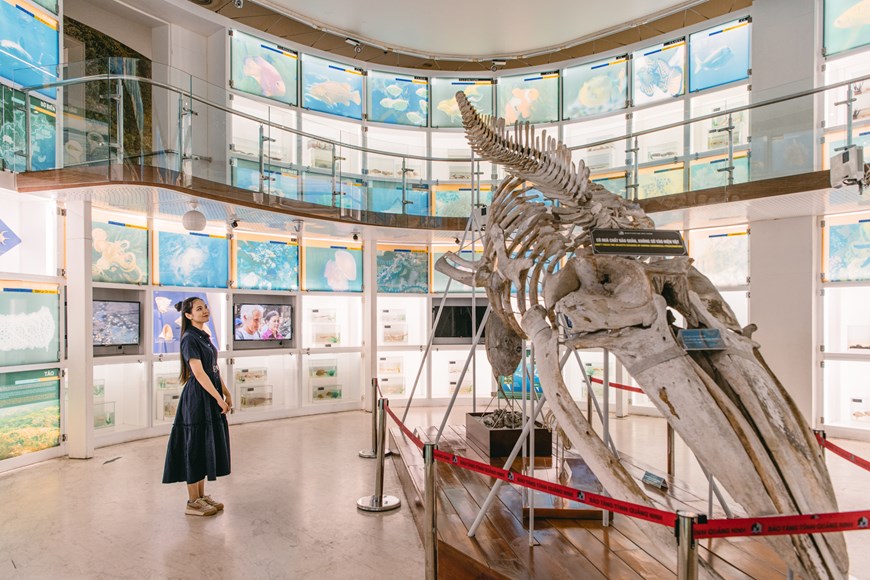 Vi Tri Tang 1 Cua Bao Tang Quang Ninh