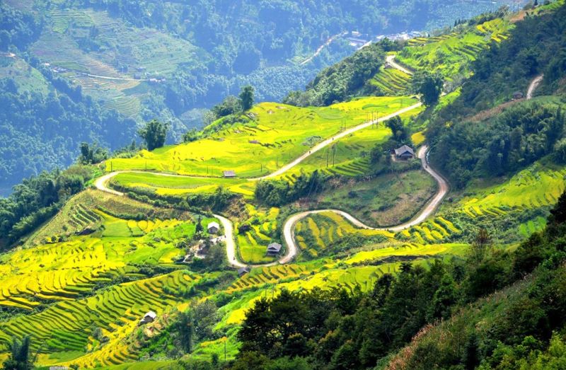 Chinh Phuc Deo Khau Pha