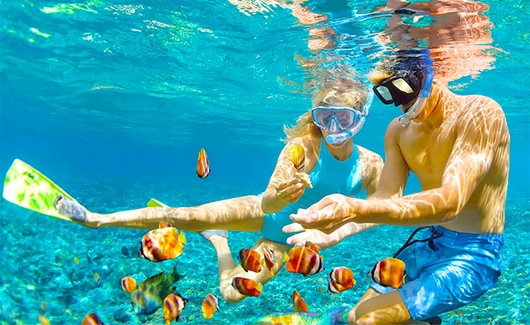 TOP 5 địa điểm lặn ngắm san hô tại Vân Đồn mà bạn không nên bỏ lỡ